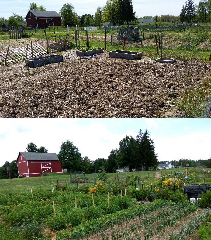 Cuyahoga Falls Community Gardens, Inc